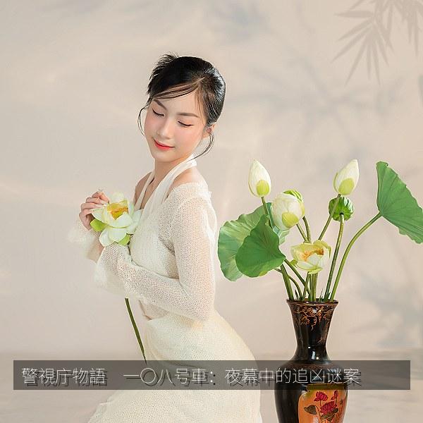 警視庁物語 一〇八号車:夜幕中的追凶谜案