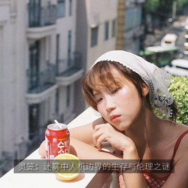 灵笼：迷雾中人机边界的生存与伦理之谜海报