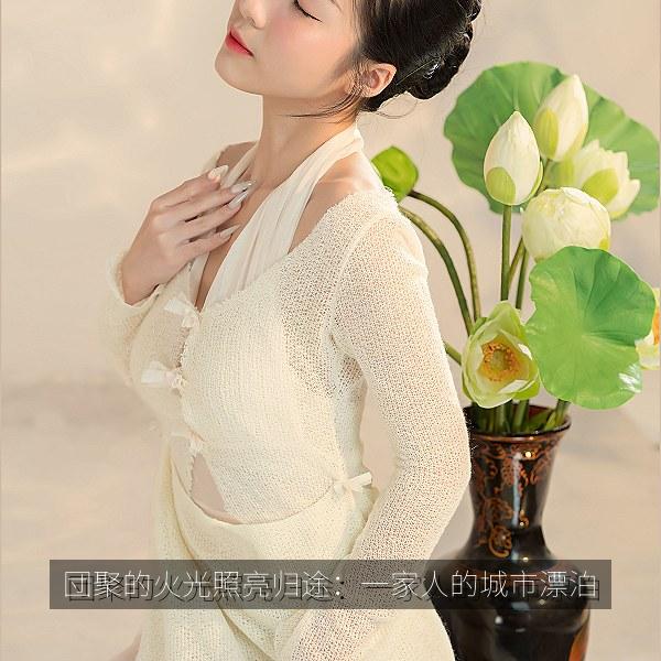 団聚的火光照亮归途：一家人的城市漂泊 海报
