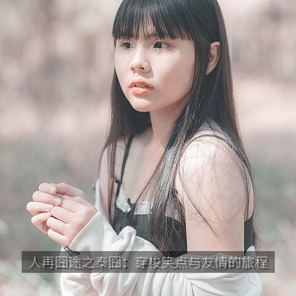 人再囧途之泰囧：穿梭笑点与友情的旅程 海报