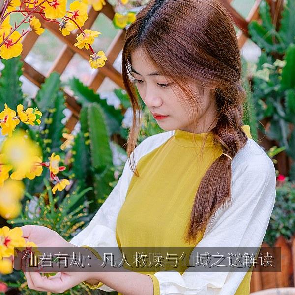仙君有劫：凡人救赎与仙域之谜解读 海报