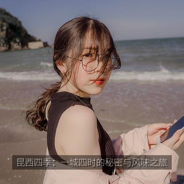 昆西四季：一城四时的秘密与风味之旅 海报
