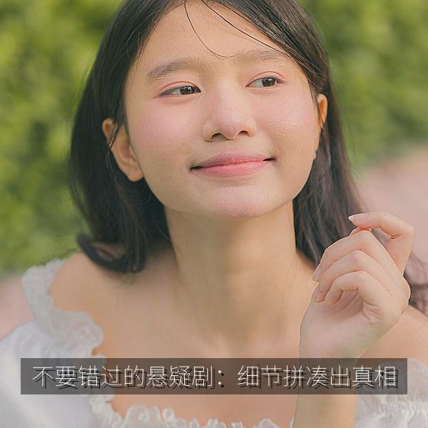 不要错过的悬疑剧：细节拼凑出真相 海报