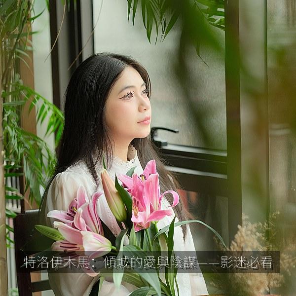 特洛伊木馬：傾城的愛與陰謀——影迷必看