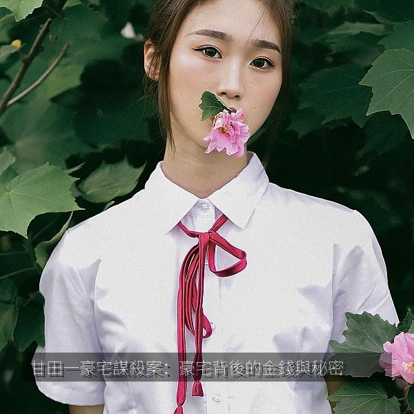 甘田一豪宅謀殺案：豪宅背後的金錢與秘密 海报