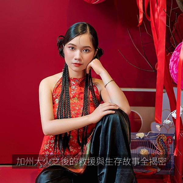 加州大火之後的救援與生存故事全揭密 海报