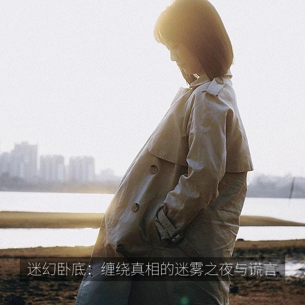 迷幻卧底：缠绕真相的迷雾之夜与谎言 海报