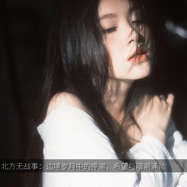 北方无战事：边境岁月中的停滞、希望与暗潮涌动 封面