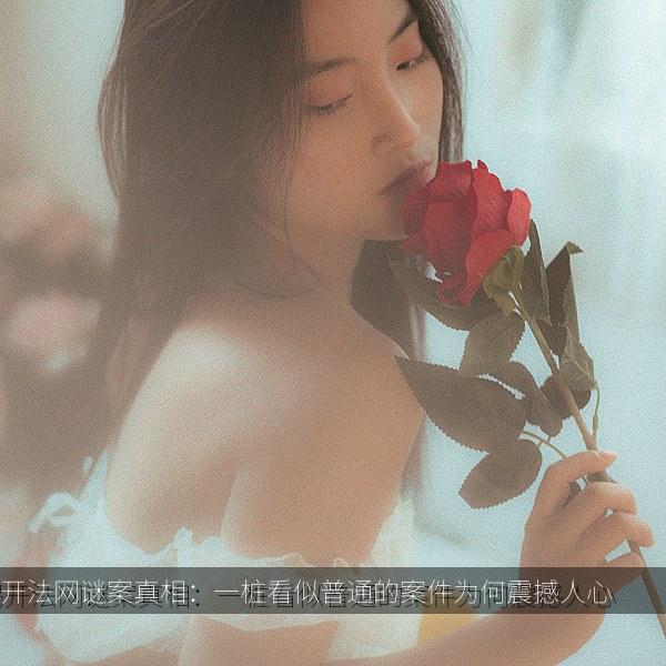 揭开法网谜案真相：一桩看似普通的案件为何震撼人心