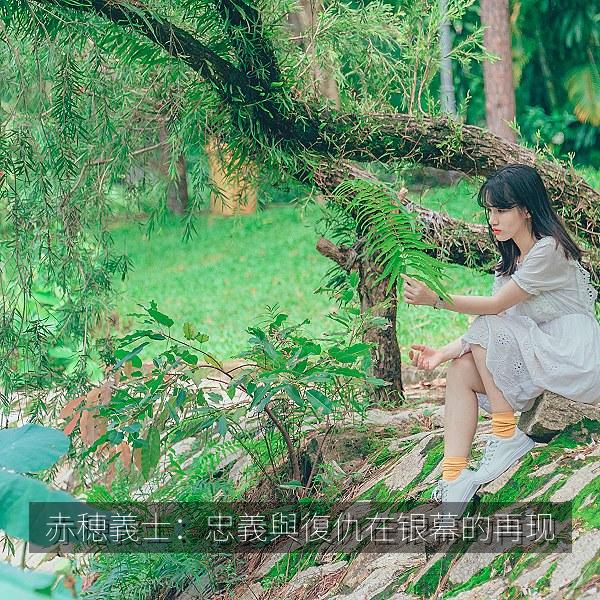 赤穂義士：忠義與復仇在银幕的再现 海报