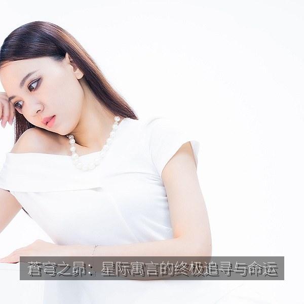 蒼穹之昴：星际寓言的终极追寻与命运 海报