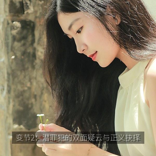 变节2：潜罪犯的双面疑云与正义抉择相关影视海报