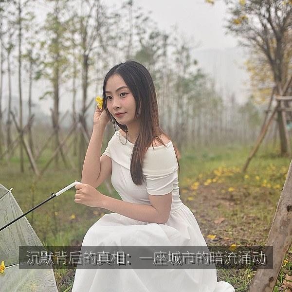 沉默背后的真相：一座城市的暗流涌动