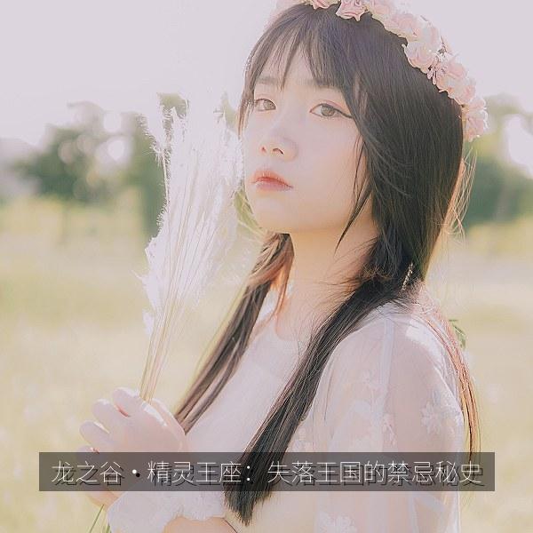 龙之谷·精灵王座：失落王国的禁忌秘史