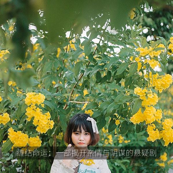 缠结命运：一部揭开亲情与阴谋的悬疑剧