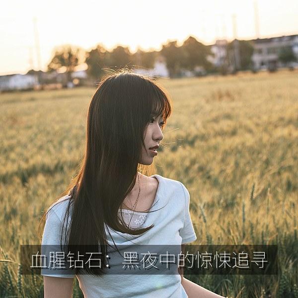 血腥钻石：黑夜中的惊悚追寻