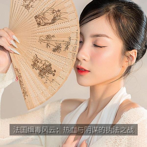 法国缉毒风云：热血与阴谋的执法之战 海报