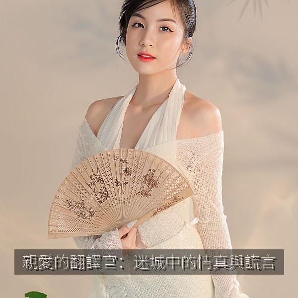 親愛的翻譯官：迷城中的情真與謊言 海报