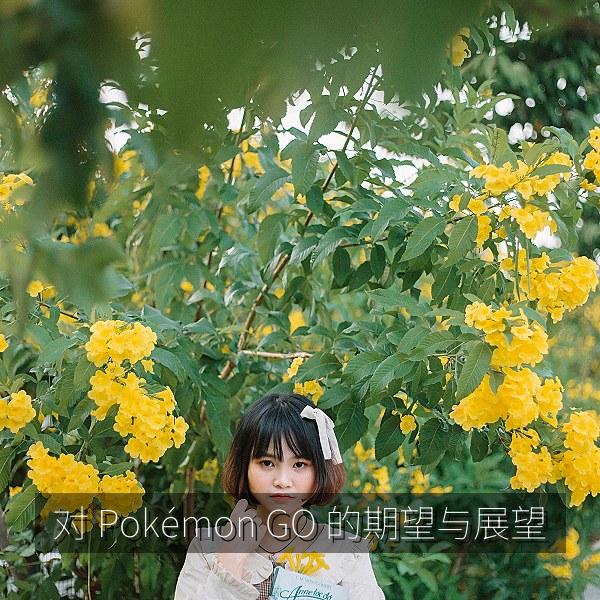 对 Pokémon GO 的期望与展望