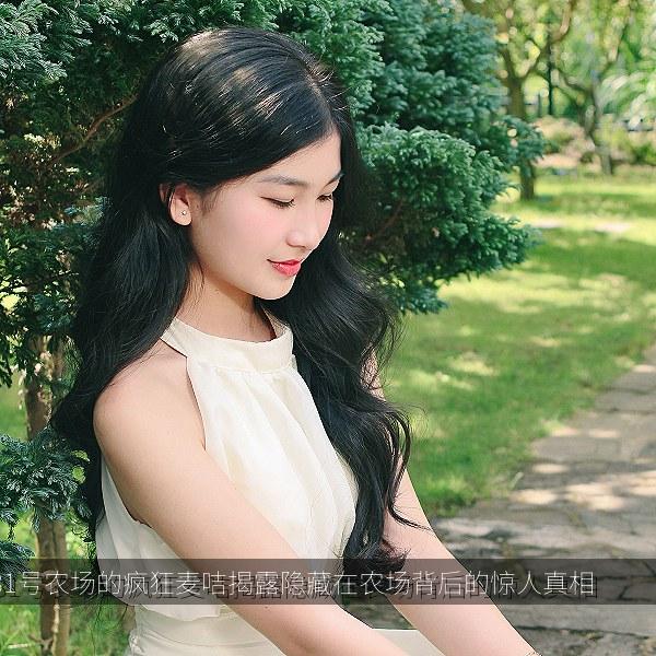81号农场的疯狂麦咭揭露隐藏在农场背后的惊人真相
