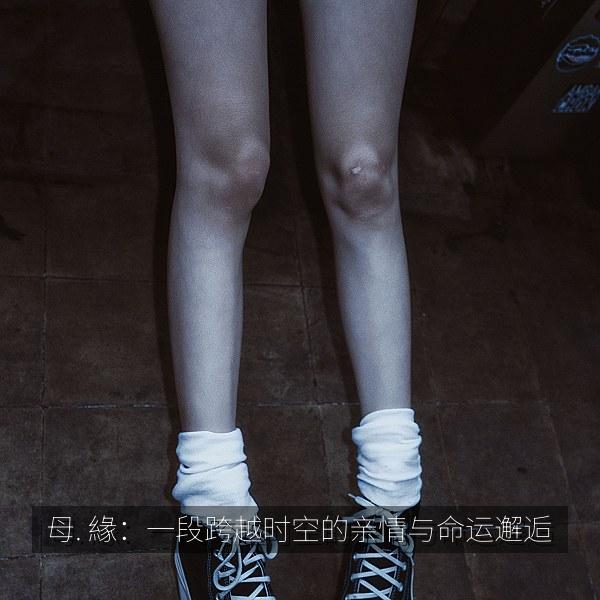 母. 緣：一段跨越时空的亲情与命运邂逅