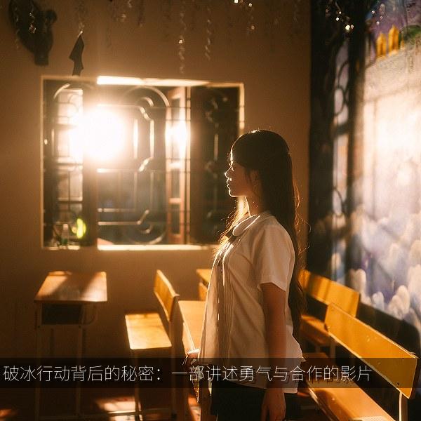 破冰行动背后的秘密：一部讲述勇气与合作的影片 封面