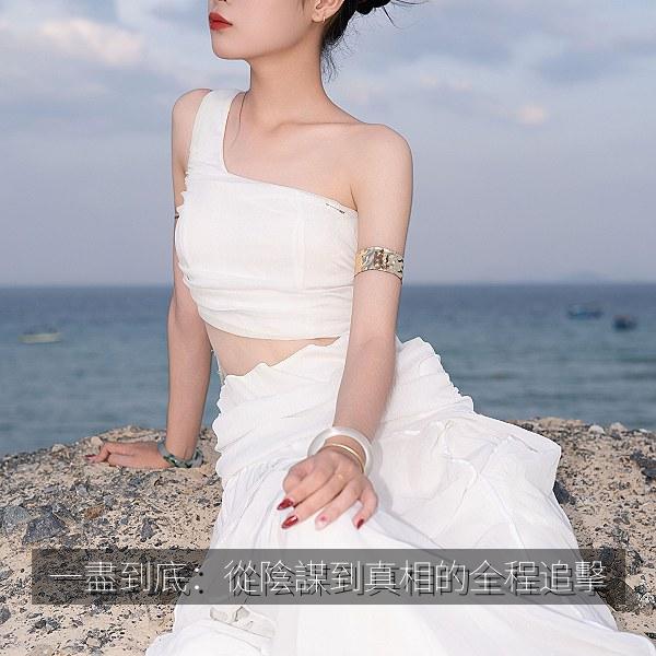 一盡到底：從陰謀到真相的全程追擊 海报