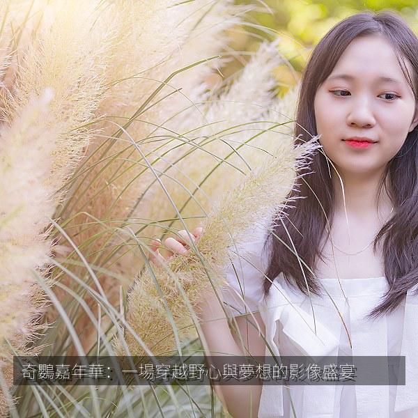奇鸚嘉年華：一場穿越野心與夢想的影像盛宴 海报