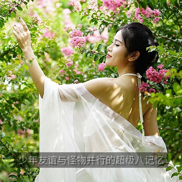 少年友谊与怪物并行的超级八记忆 海报
