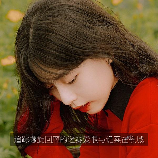 追踪螺旋回廊的迷雾爱恨与诡案在夜城 海报