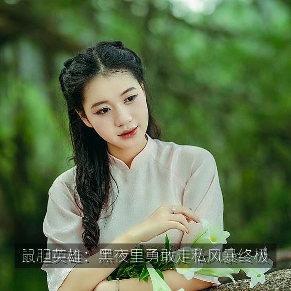 鼠胆英雄：黑夜里勇敢走私风暴终极 海报