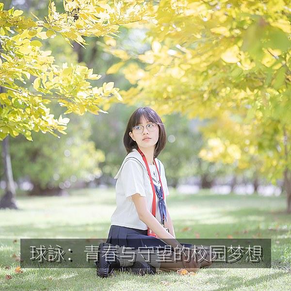 球詠：青春与守望的校园梦想 海报