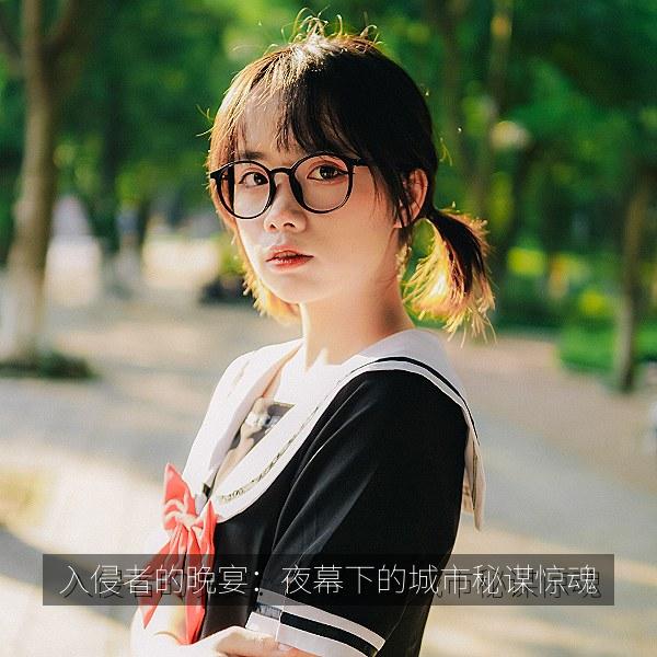 入侵者的晚宴：夜幕下的城市秘谋惊魂 海报