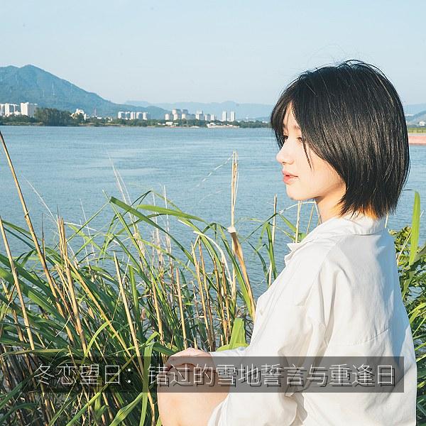 冬恋望日：错过的雪地誓言与重逢日 海报