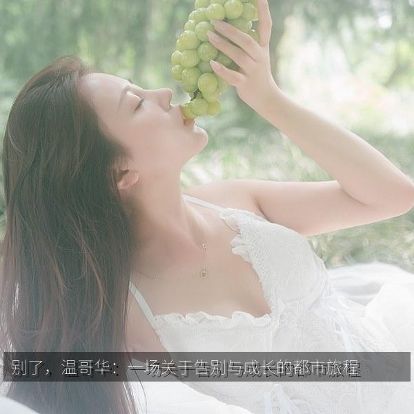 别了，温哥华：一场关于告别与成长的都市旅程 海报