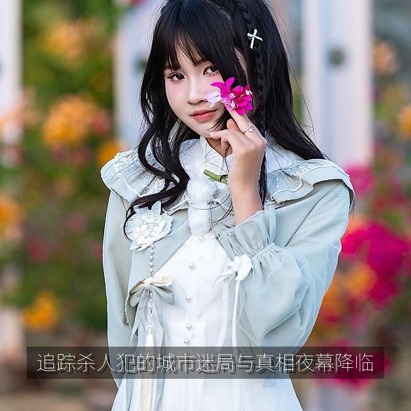 追踪杀人犯的城市迷局与真相夜幕降临