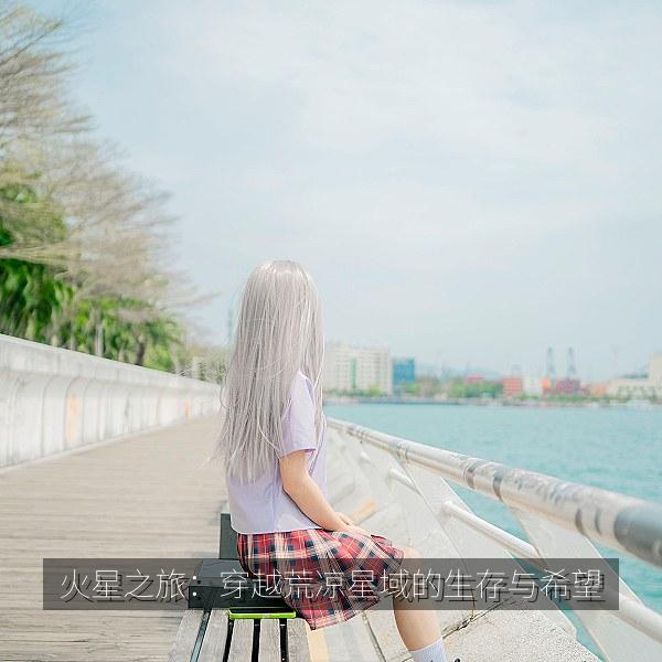 火星之旅：穿越荒凉星域的生存与希望