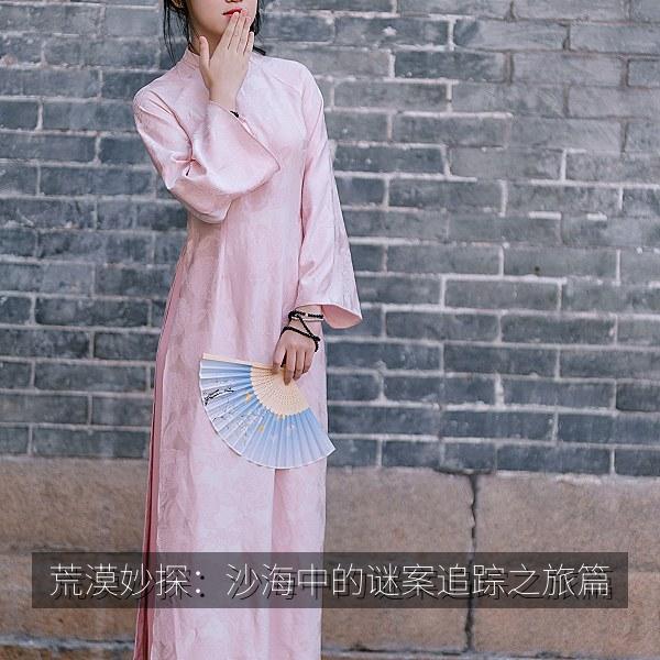 荒漠妙探：沙海中的谜案追踪之旅篇