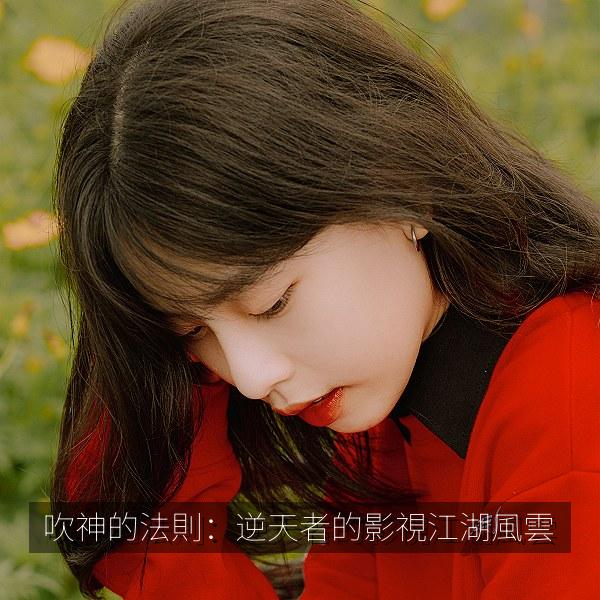 吹神的法則：逆天者的影視江湖風雲 海报