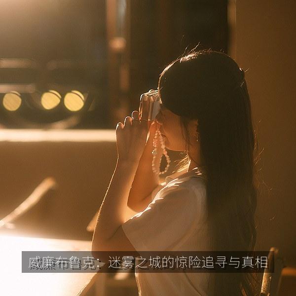 威廉布鲁克：迷雾之城的惊险追寻与真相 封面