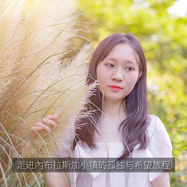 走进內布拉斯加小镇的孤独与希望旅程 海报
