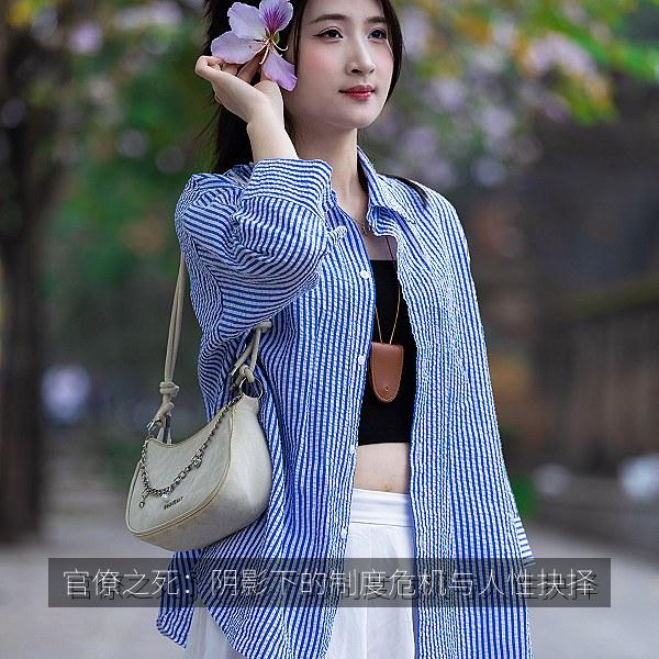 官僚之死：阴影下的制度危机与人性抉择 海报