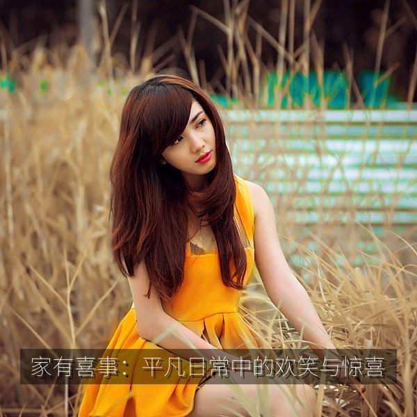家有喜事：平凡日常中的欢笑与惊喜
