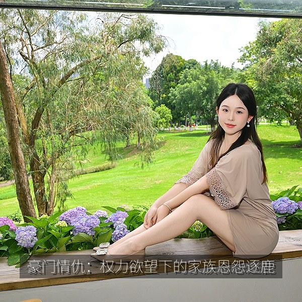 豪门情仇：权力欲望下的家族恩怨逐鹿