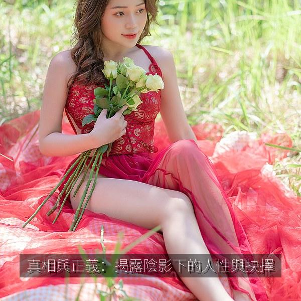 真相與正義：揭露陰影下的人性與抉擇 海报
