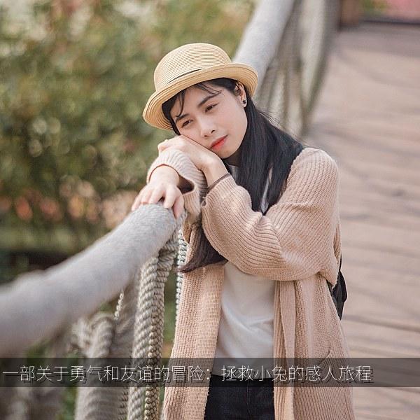 一部关于勇气和友谊的冒险：拯救小兔的感人旅程