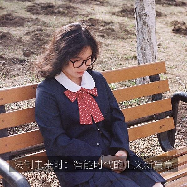 法制未来时：智能时代的正义新篇章 海报