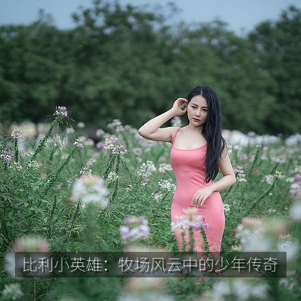 比利小英雄：牧场风云中的少年传奇