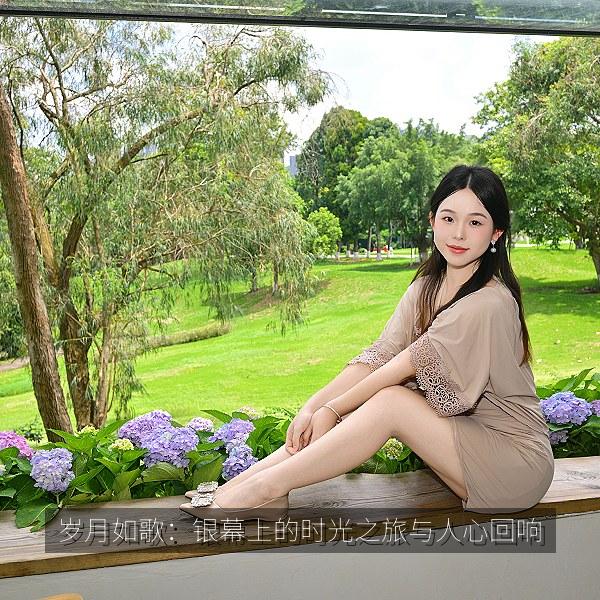 岁月如歌：银幕上的时光之旅与人心回响 海报