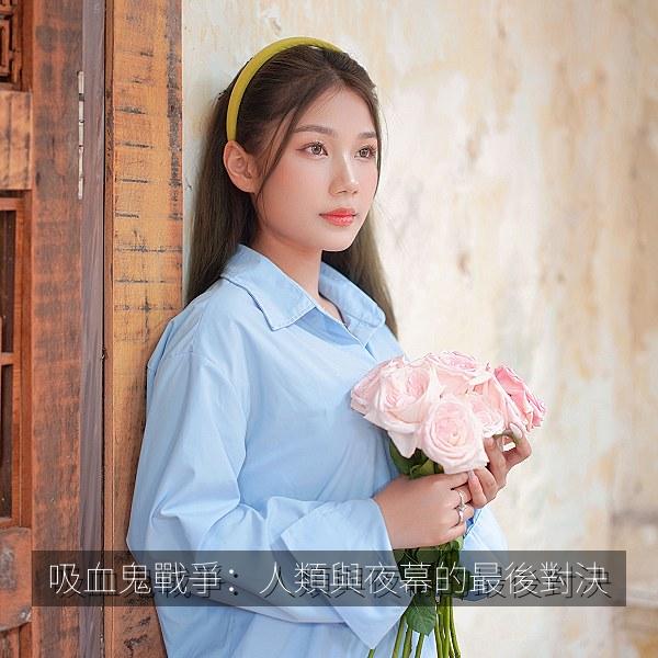 吸血鬼戰爭：人類與夜幕的最後對決 海报
